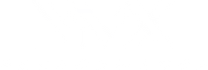 NVX - Vehicle Security Services