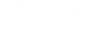 NVX - Vehicle Security Services